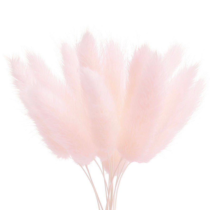 Dried Flower Box Lagurus (Light Pink)