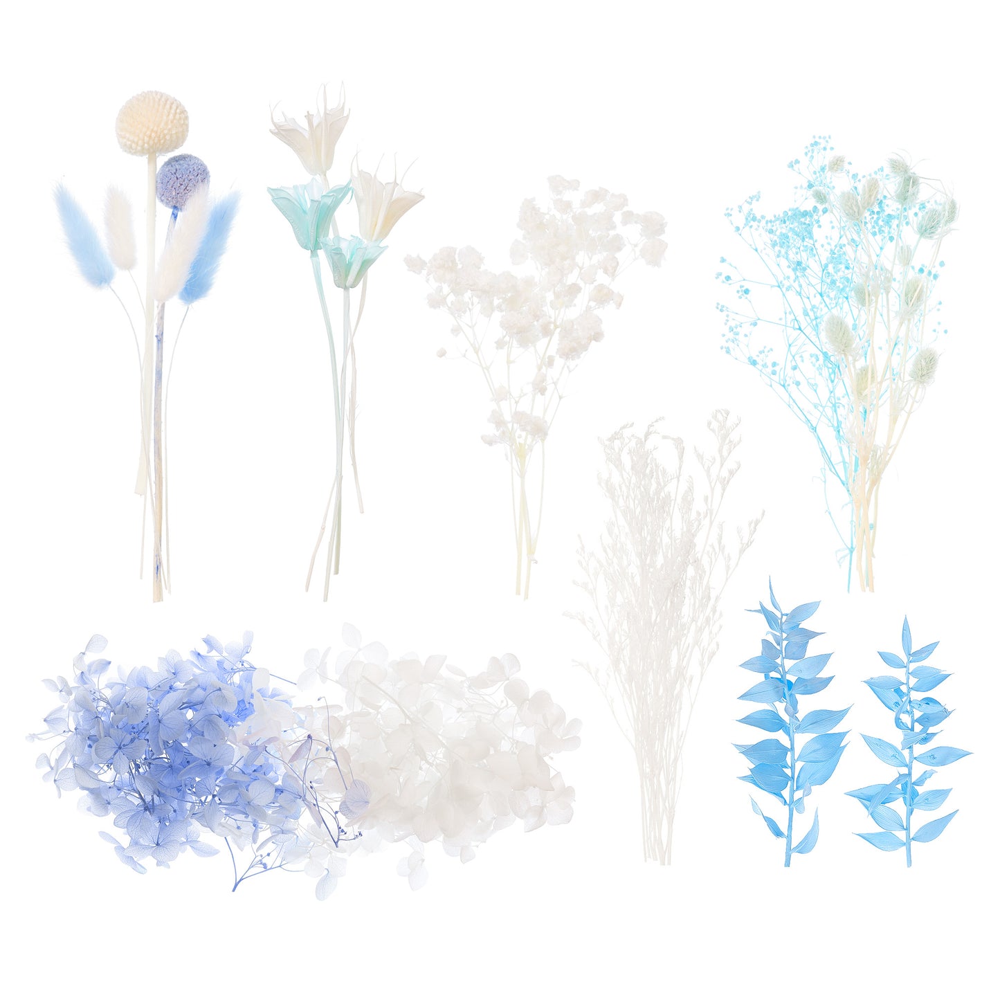 Deluxe Dried Flower Box (Blue & White)