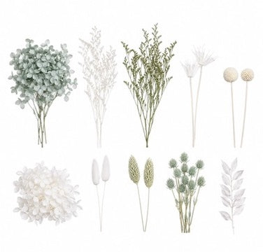 Deluxe Dried Flower Box (Light Sage & White)