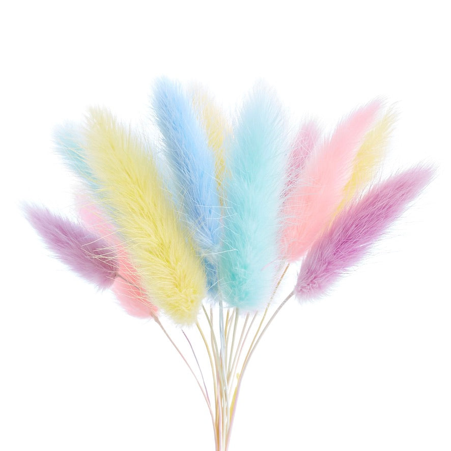 Dried Flower Box Lagurus (Rainbow Pastel)