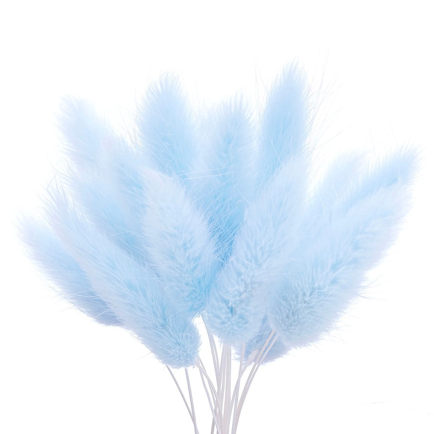 Dried Flower Box Lagurus (Light Blue)