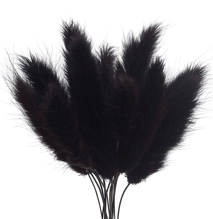 Dried Flower Box Lagurus (Black)