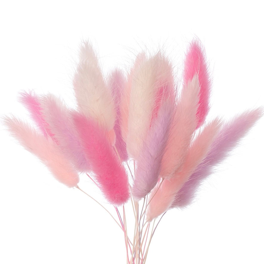 Dried Flower Box Lagurus (Pink, Lilac, White)