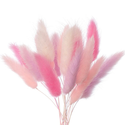 Dried Flower Box Lagurus (Pink, Lilac, White)