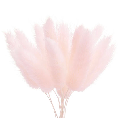 Dried Flower Box Lagurus (Light Pink)