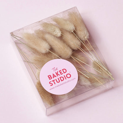 Dried Flower Box Lagurus (Natural)