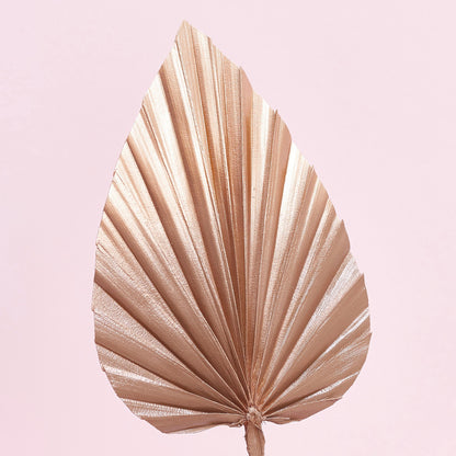 Decorated Dried Palm Spear (Mocha Latte & Gold Ombre)