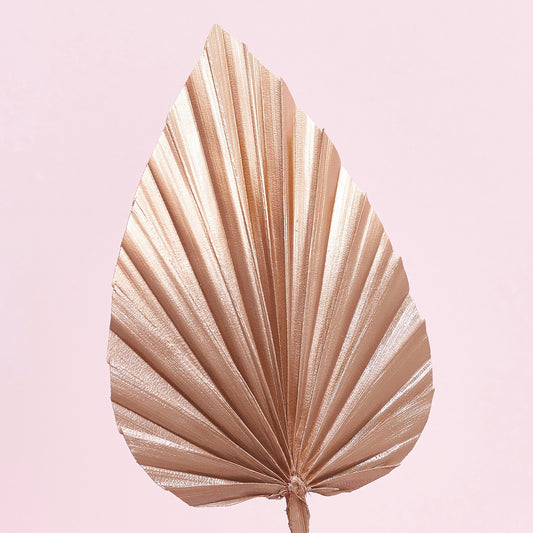 Decorated Dried Palm Spear (Mocha Latte & Gold Ombre)