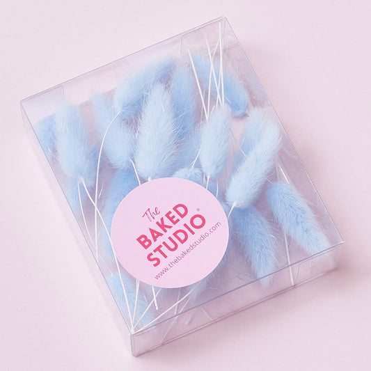 Dried Flower Box Lagurus (Light Blue)