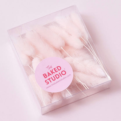 Dried Flower Box Lagurus (Light Pink)