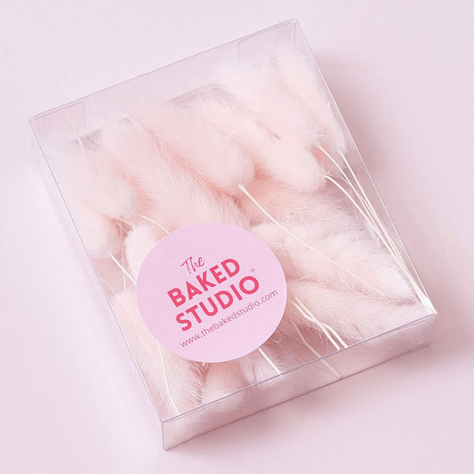 Dried Flower Box Lagurus (Light Pink)