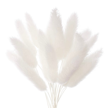 Dried Flower Box Lagurus (White)