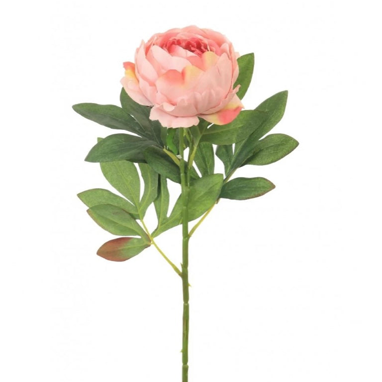 Artificial Millicent Peony Stem