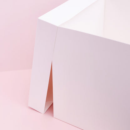 Tall White Cake Boxes with Lids (Single)