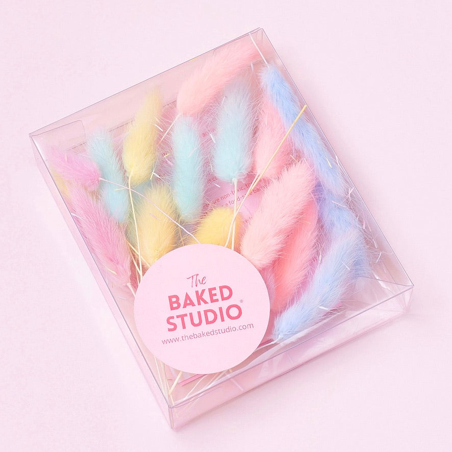 Dried Flower Box Lagurus (Rainbow Pastel)
