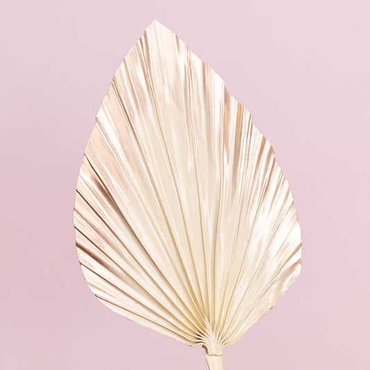 Decorated Dried Palm Spear (Cream & Gold Ombre)