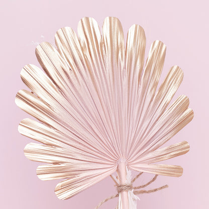 Dried Shell Palm Bouquet (Pink, Gold & White)