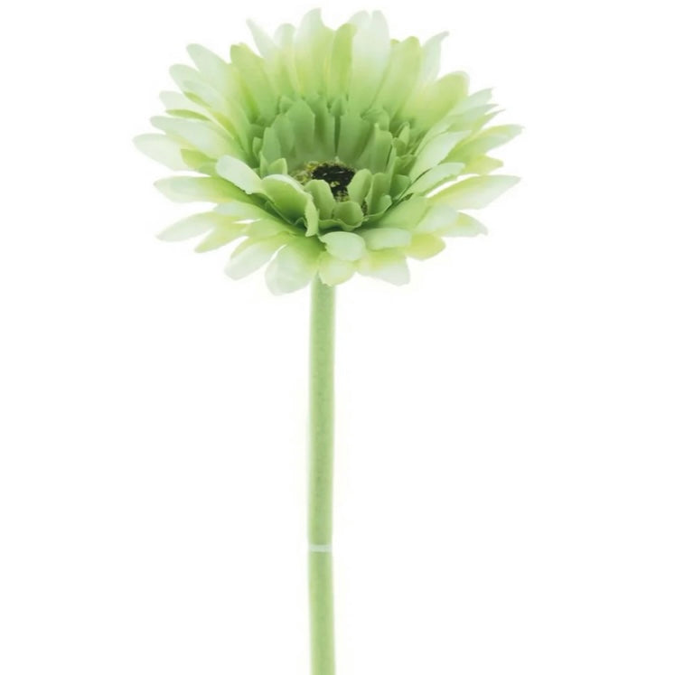Artificial Gerbera Stem
