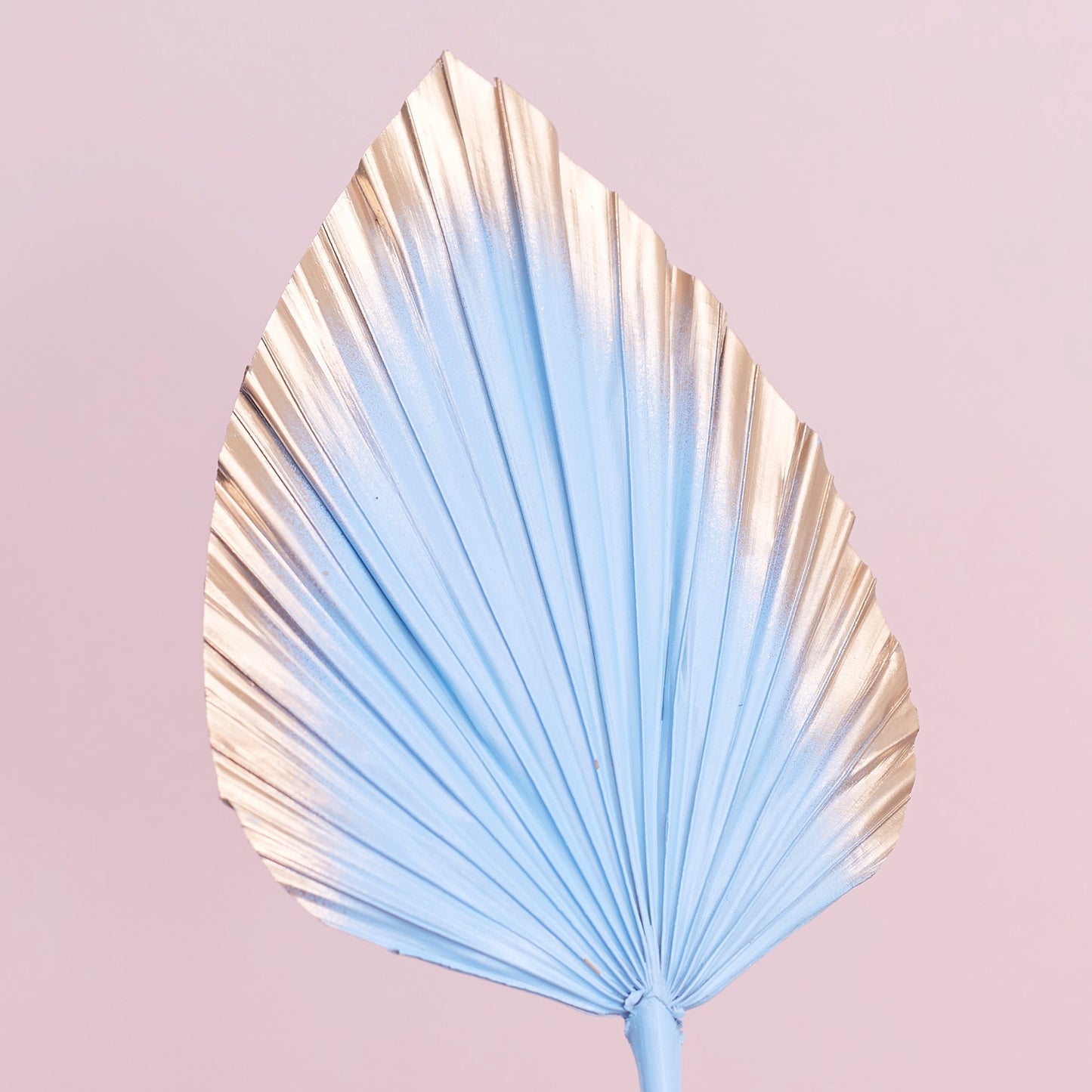 Decorated Dried Palm Spear (Light Blue & Gold Ombre)