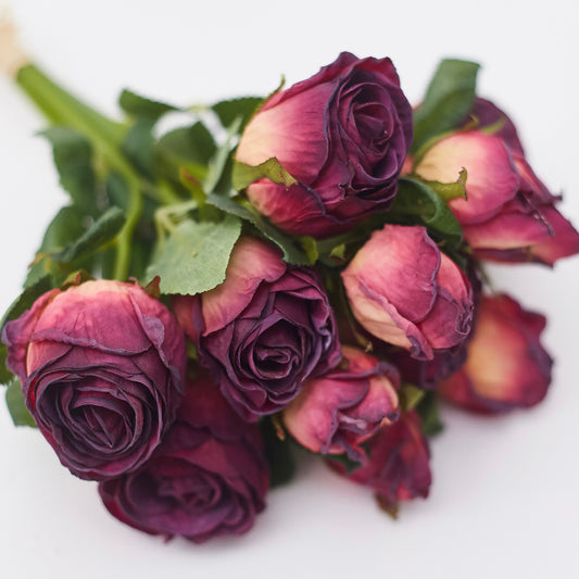 Dried Touch 12-Piece Small Rose & Tea Rose Stem Bouquet – Mulberry