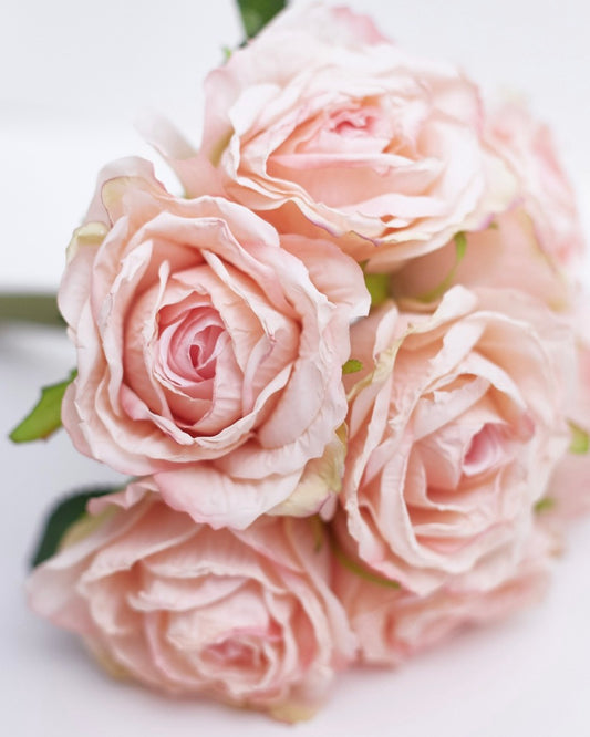 Dried Touch 7-Piece Rose Stem Bouquet – Dusty Pale Pink