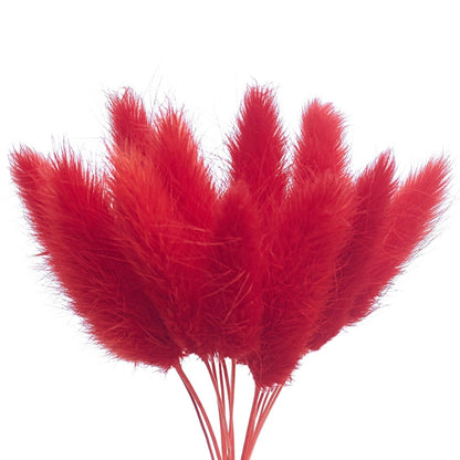 Dried Flower Box Lagurus (Red)