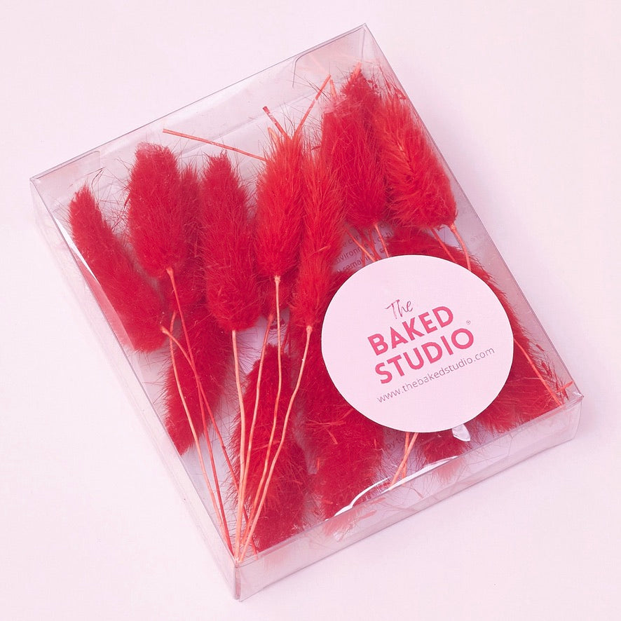 Dried Flower Box Lagurus (Red)