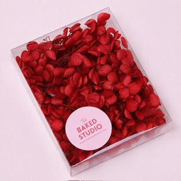 Dried Flower Box Hydrangea (Red)