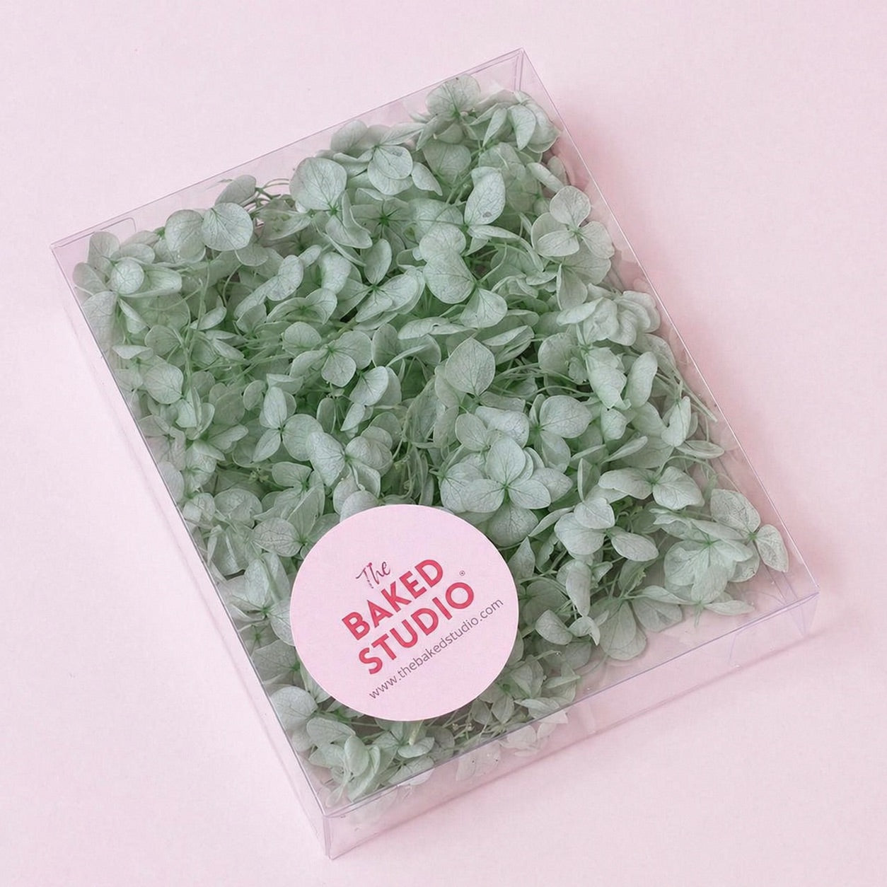 Dried Flower Box Hydrangea (Light Sage)