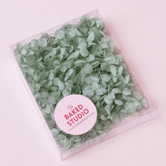 Dried Flower Box Hydrangea (Light Sage)