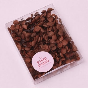 Dried Flower Box Hydrangea (Gingerbread Brown)