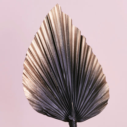 Decorated Dried Palm Spear (Black & Gold Ombre)