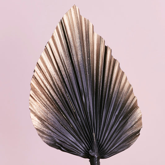 Decorated Dried Palm Spear (Black & Gold Ombre)