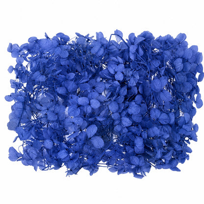 Dried Flower Box Hydrangea (Navy Blue)