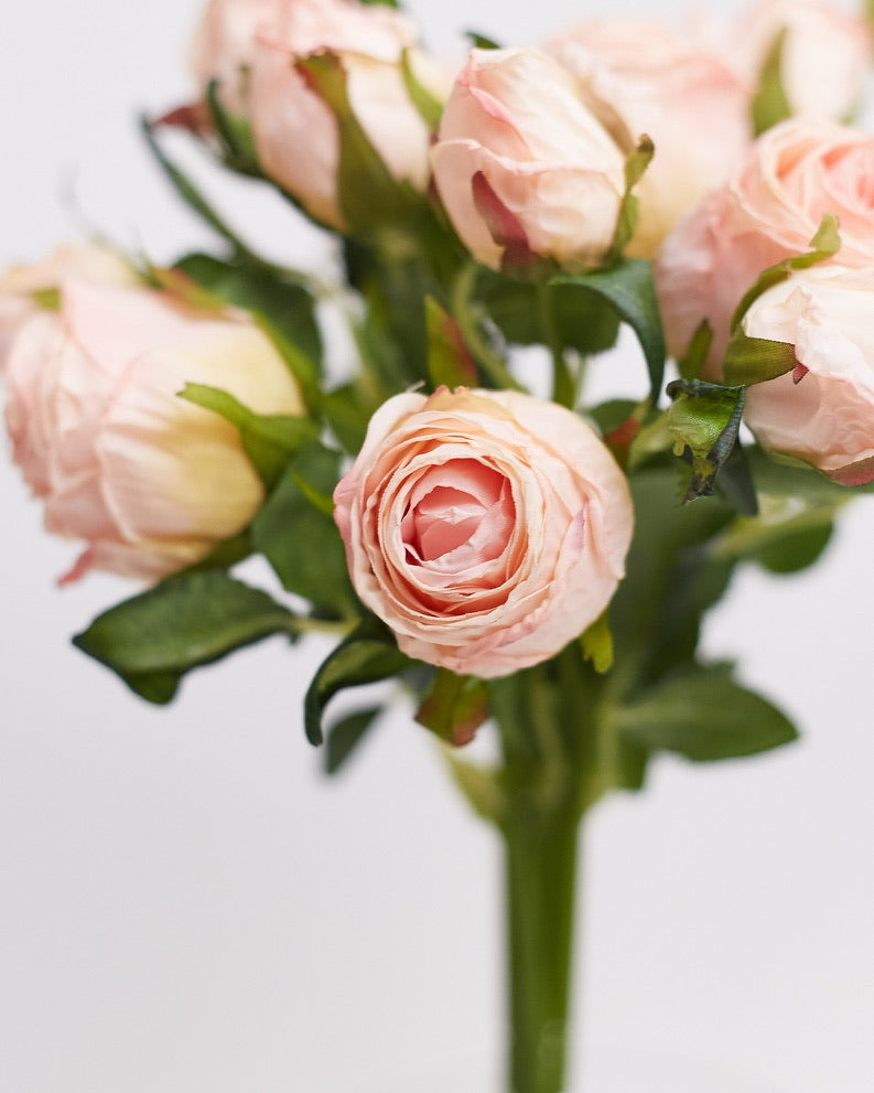 Dried Touch 12-Piece Small Rose & Tea Rose Stem Bouquet – Dusty Pale Pink
