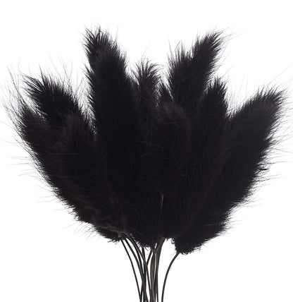 Dried Flower Box Lagurus (Black)