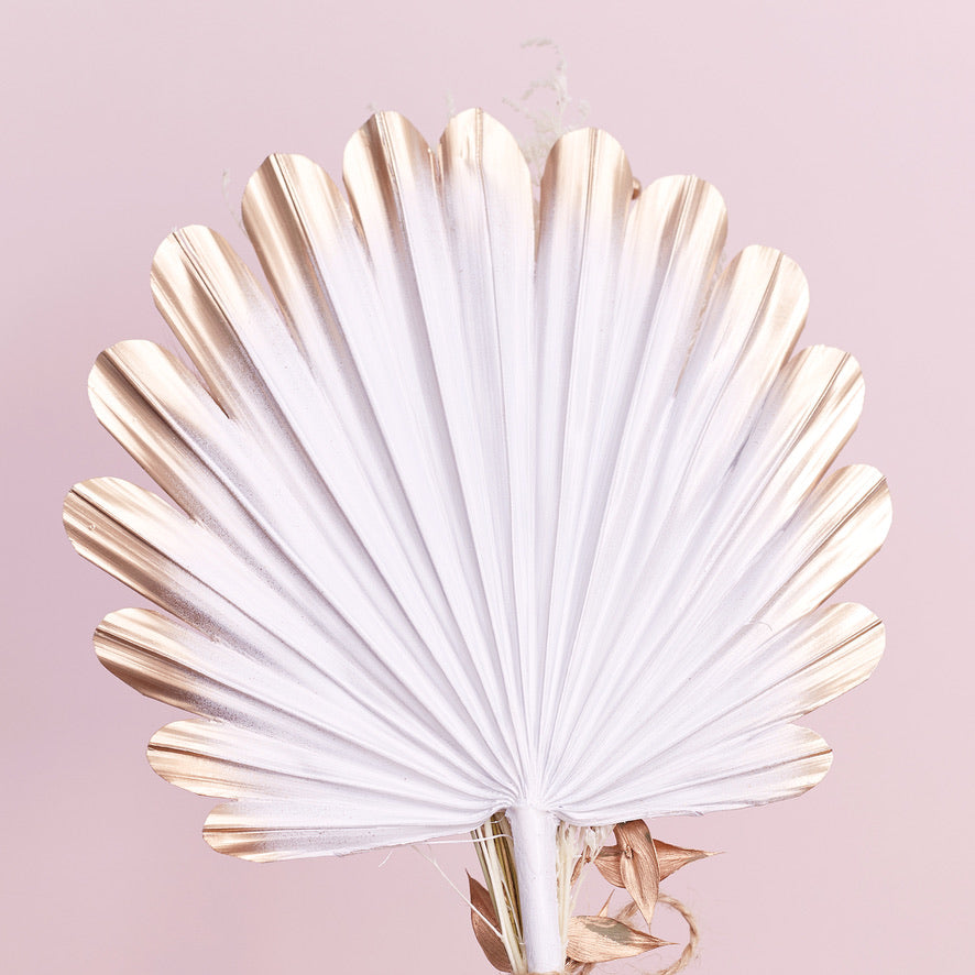 Dried Shell Palm Bouquet (Gold & White)